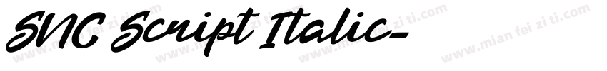 SNC Script Italic字体转换